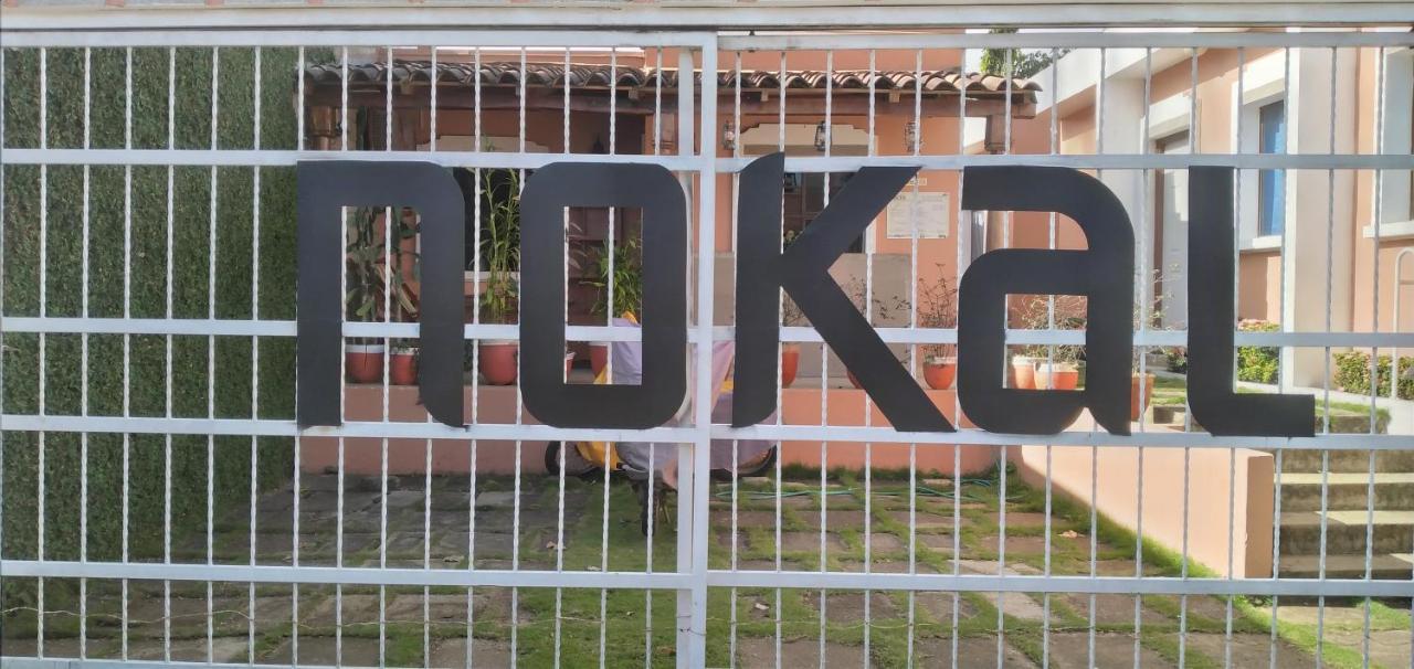Apartment Nokal *